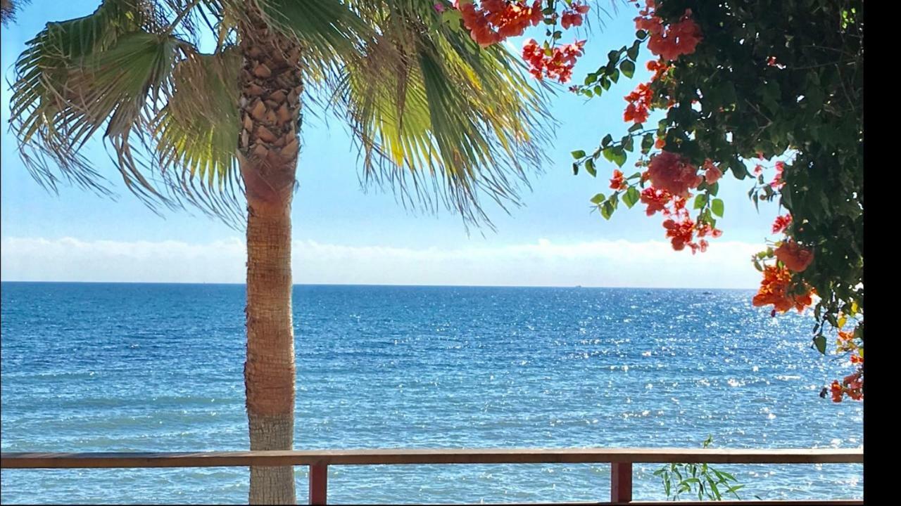 Sitio de Calahonda Mi Capricho 2B1 Beachfront Complex-Apartment Beachside With Sea Views מראה חיצוני תמונה